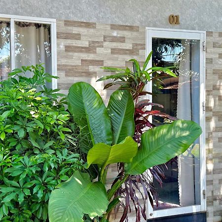 Ho Coc Homestay エクステリア 写真
