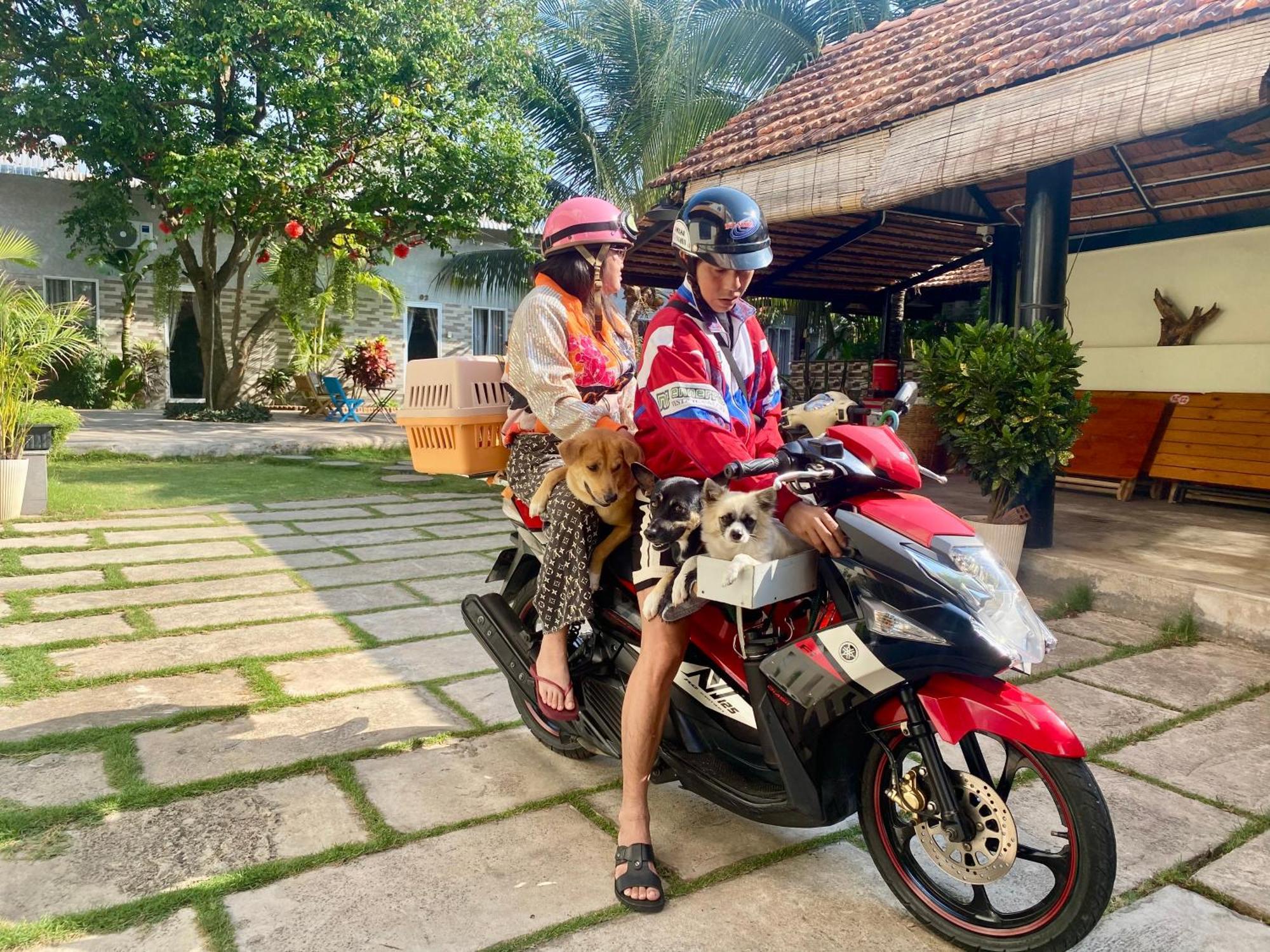 Ho Coc Homestay エクステリア 写真